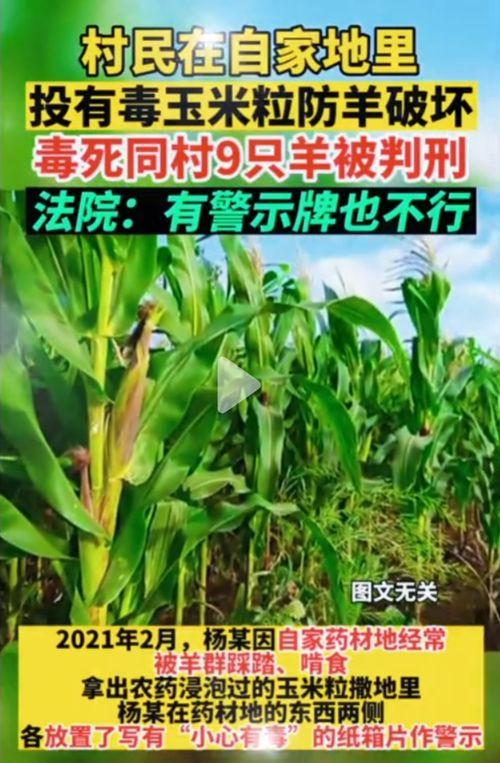 台北娜娜吃瓜群,揭秘娱乐圈幕后风云