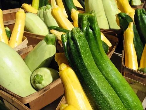 bridge吃瓜,揭秘桥上那些不为人知的秘密