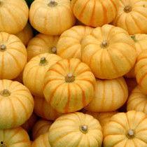 小桔瓜怎样吃,解锁美味新体验