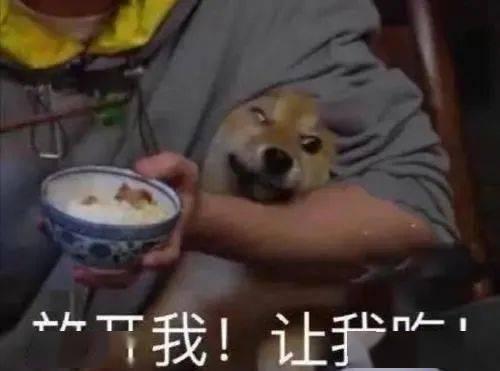 吃瓜医生短剧,揭秘医疗界的欢乐日常