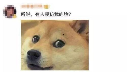 微信狗头吃瓜,微信里的欢乐瞬间