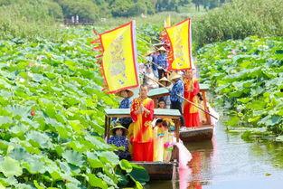 湿地公园吃瓜,湿地公园夏日吃瓜盛宴