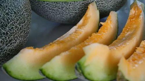 来摘小瓜吃,来摘小瓜吃，共享丰收喜悦