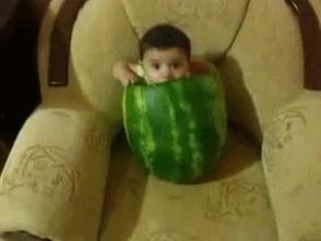 各种吃瓜姿势图片,解锁夏日清凉新姿势