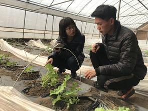 通州吃瓜,揭秘当地美食文化盛宴