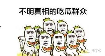 辰子吃瓜群众