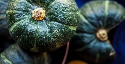 南瓜吃瓜网,揭秘瓜类美食的奥秘与魅力