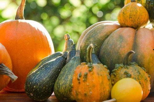 南瓜吃瓜网,揭秘瓜类美食的奥秘与魅力