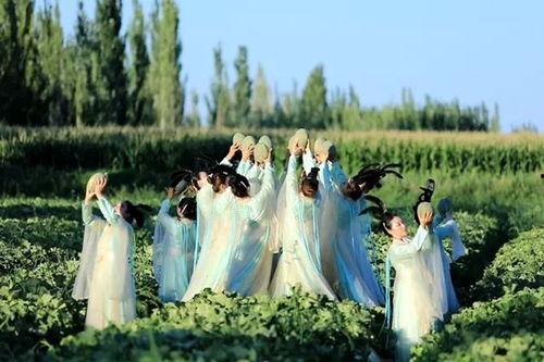 丝路密瓜怎么吃,解锁西域佳果的多彩食法