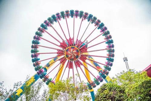 摩天轮吃瓜,揭秘摩天轮背后的秘密与奇遇