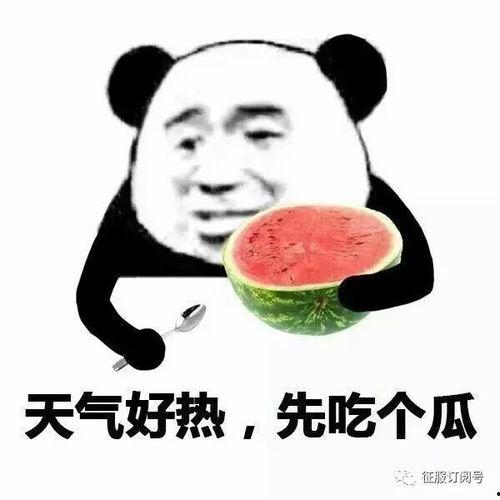 吃瓜吃得很快,揭秘吃瓜达人快速瓜吞技巧