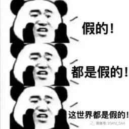 傻瓜吃瓜视频