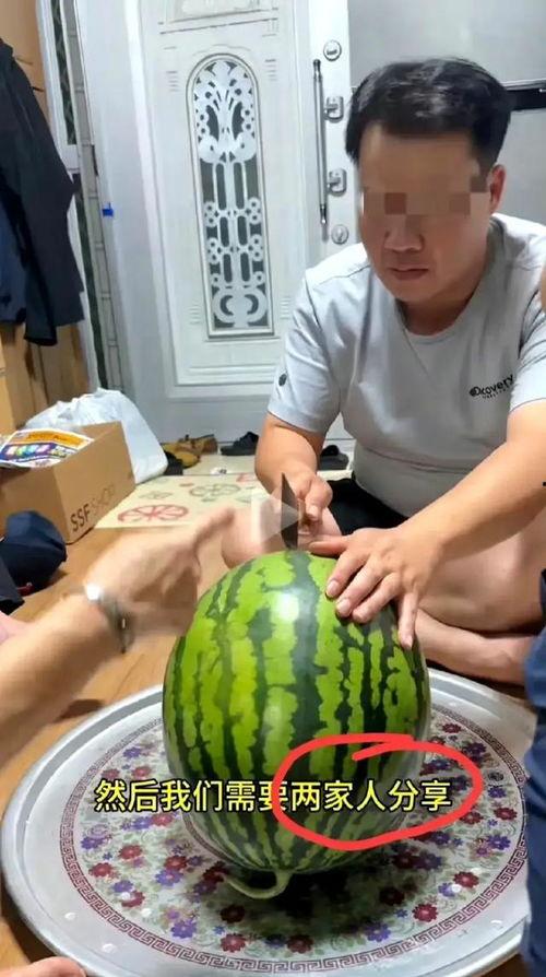 拍吃瓜视频