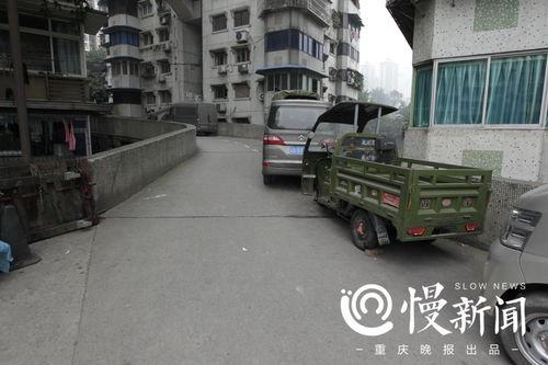 网红电梯吃瓜,揭秘网络红人的“瓜田”生活