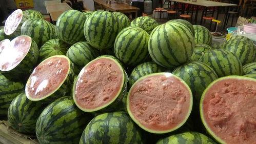 卖瓜吃瓜,揭秘瓜农与食客的奇妙互动